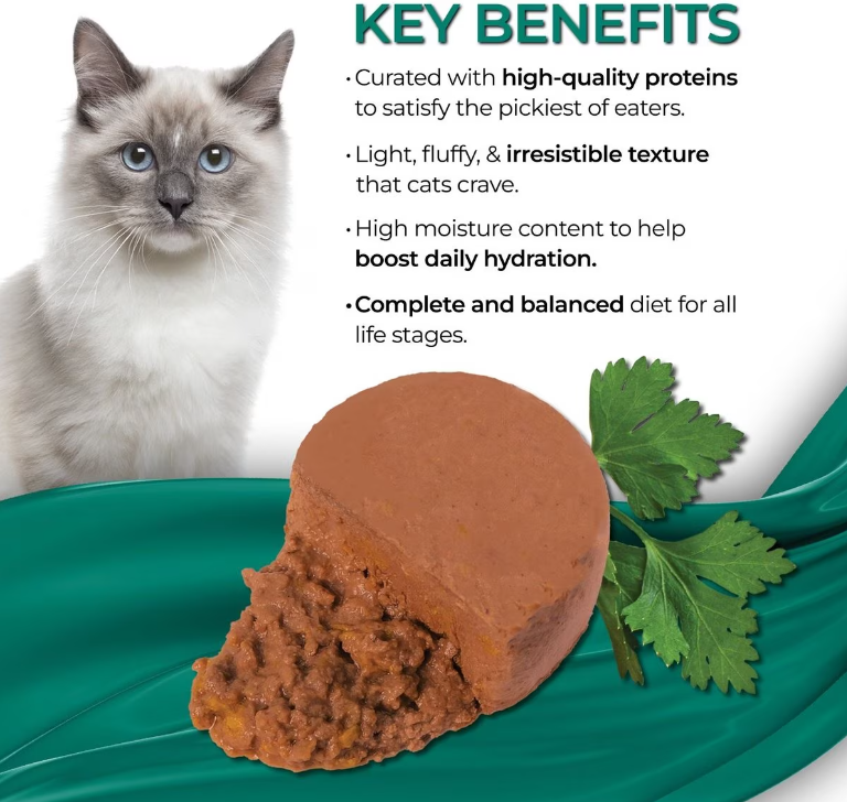 Cat Food With High Moisture Content bursabariatric