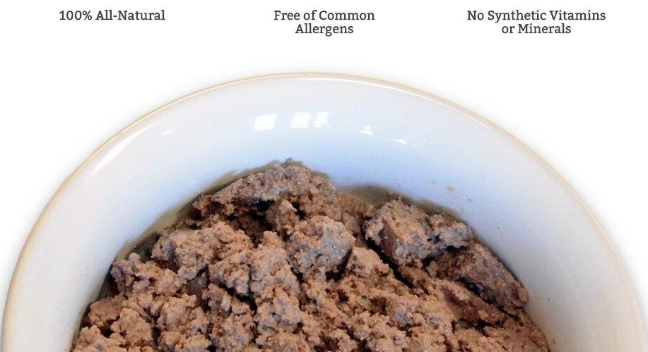 Nature s Logic Grain Free Wet Dog Food Pate Rabbit Feast 13oz