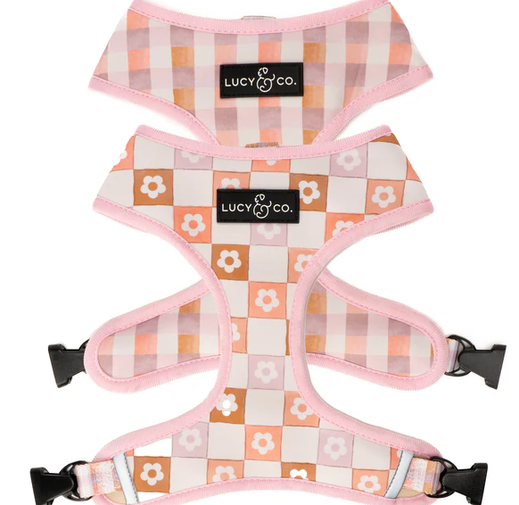 Lucy & Co Dog Harness Reversible The Daisy Delight