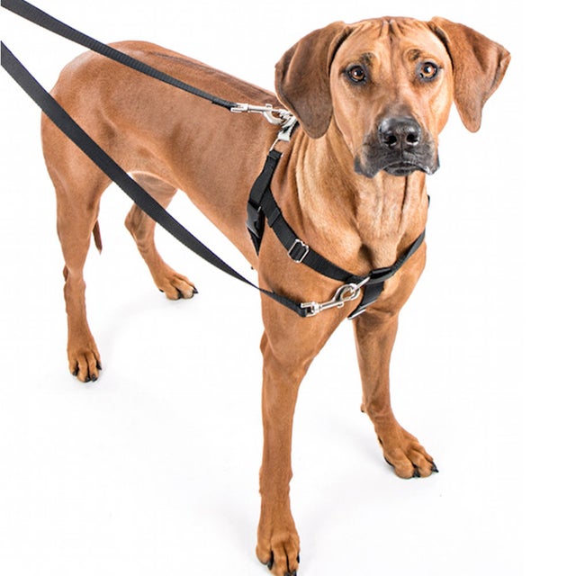 Dog Adjustable Harness - BARBIE™ Malibu