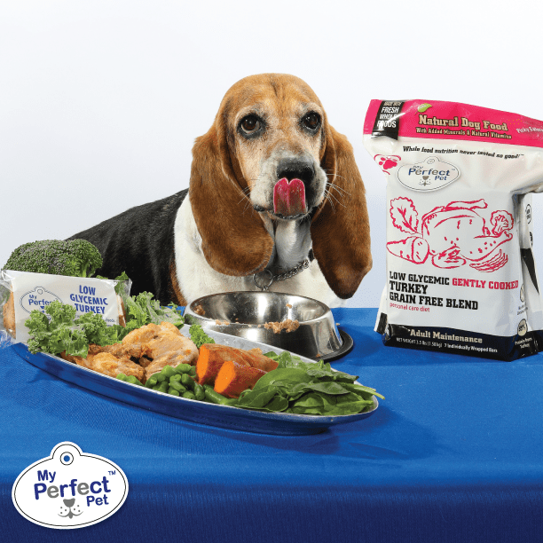 My Perfect Pet Gently Cooked Human Grade Dog Food Tino s Low Glycemic Turkey Blend 3.5lb